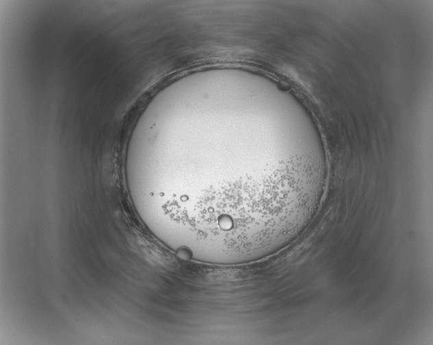 X0000068831211200605191850