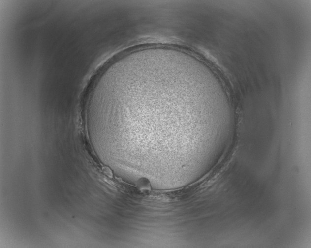 X0000068831215200605191850