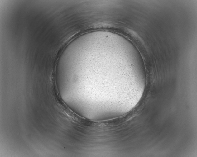 X0000068831217200605191850