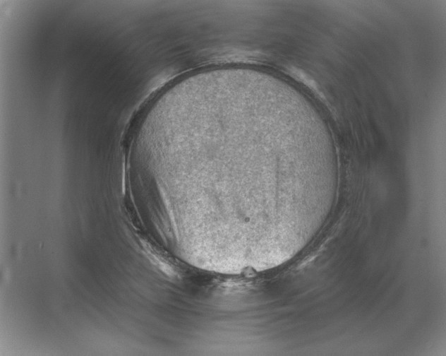 X0000068831219200605191850