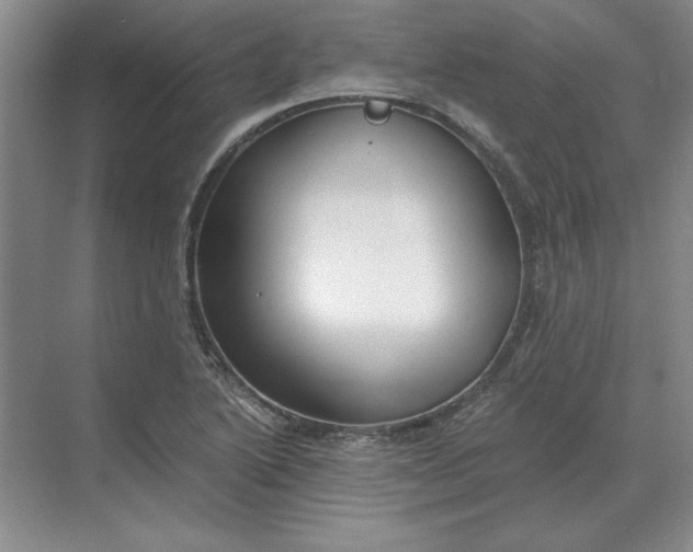 X0000068831222200605191850