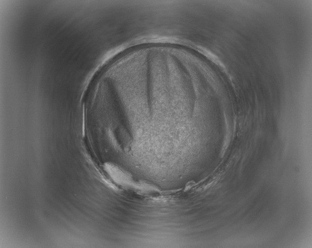 X0000068831223200605191850