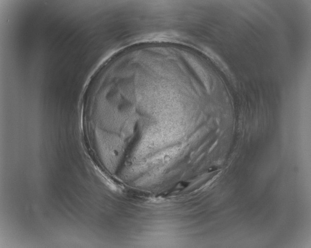 X0000068831224200605191850