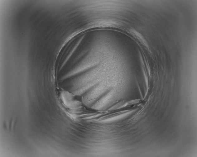 X0000068831226200605191850