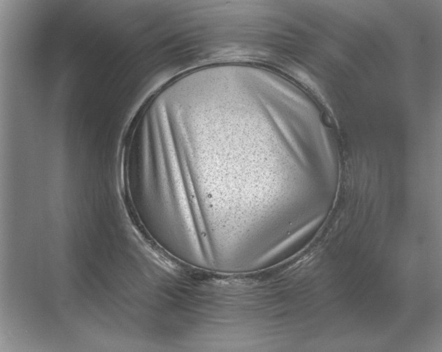 X0000068831227200605191850