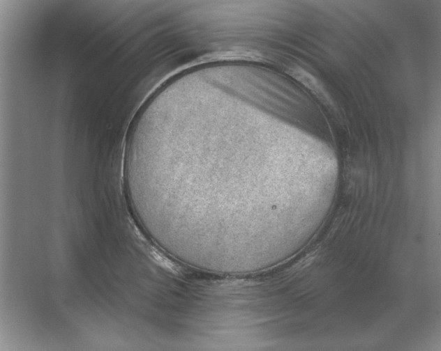 X0000068831228200605191850