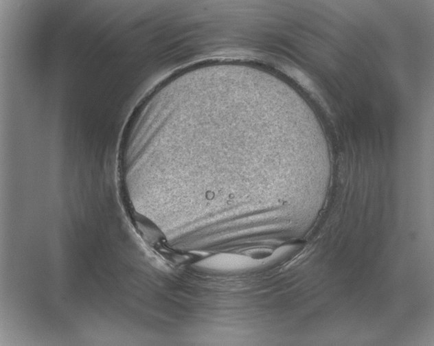 X0000068831229200605191850