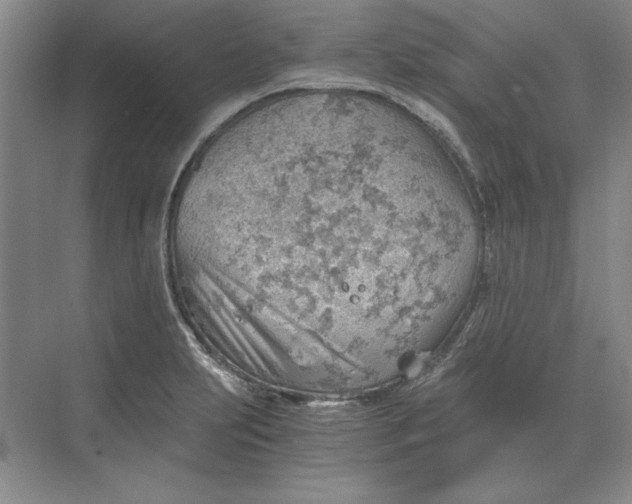 X0000068831231200605191850