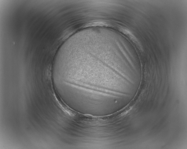 X0000068831233200605191850