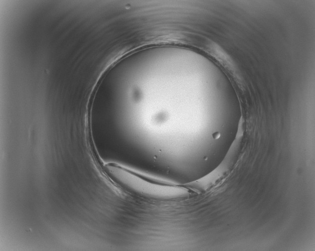 X0000068831234200605191850