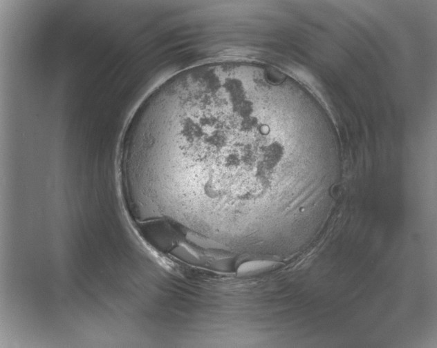 X0000068831235200605191850