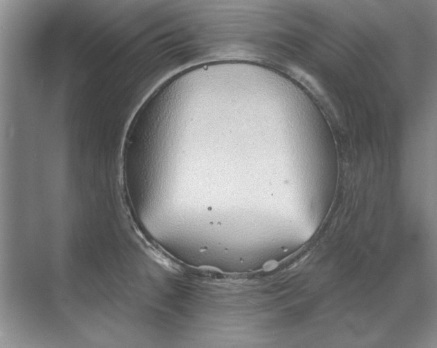 X0000068831236200605191850