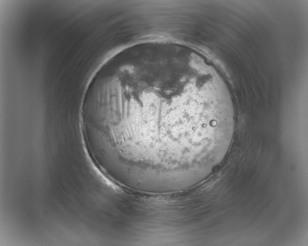 X0000068831239200605191850