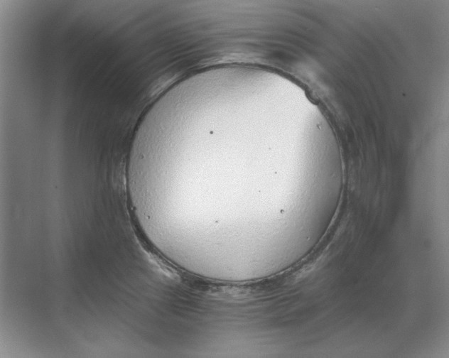 X0000068831241200605191851