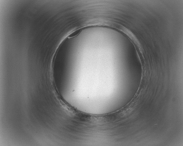 X0000068831242200605191851