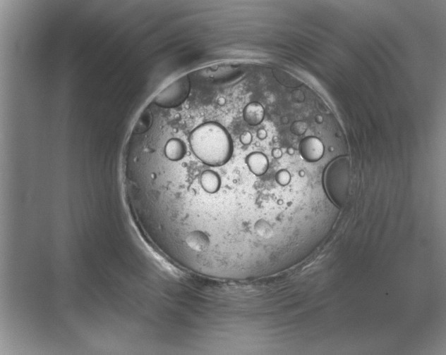 X0000068831243200605191851