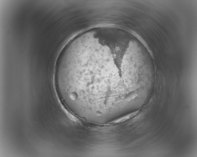 X0000068831245200605191851