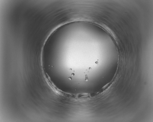 X0000068831246200605191851