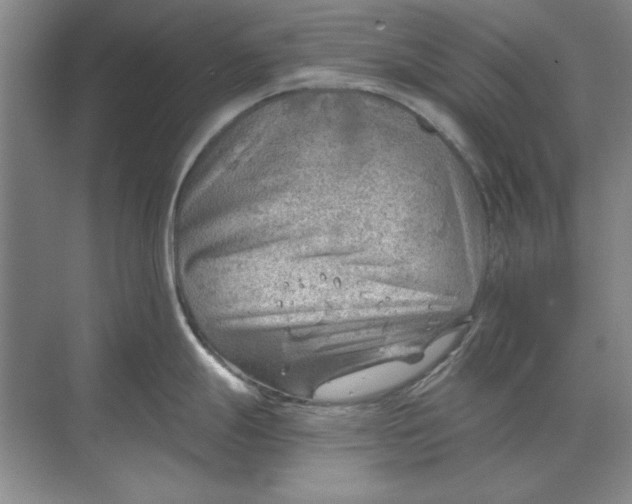 X0000068831247200605191851