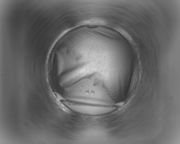 X0000068831248200605191851