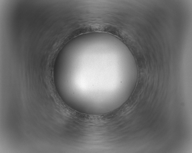 X0000068831249200605191850