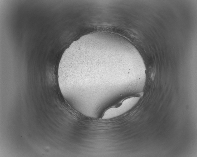 X0000068831252200605191850