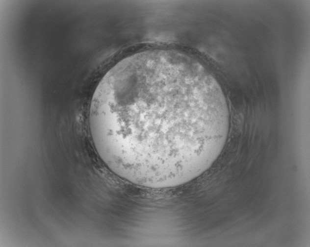 X0000068831254200605191850