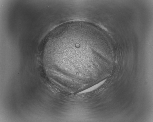 X0000068831255200605191850