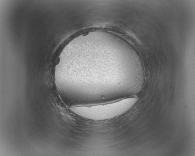 X0000068831256200605191850