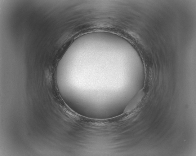 X0000068831257200605191850