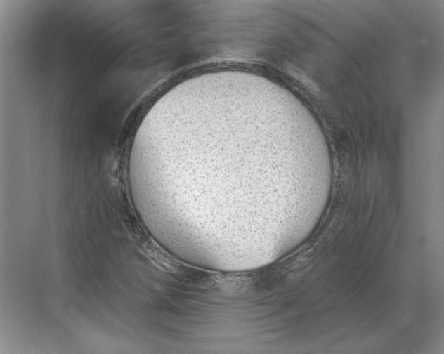 X0000068831258200605191850