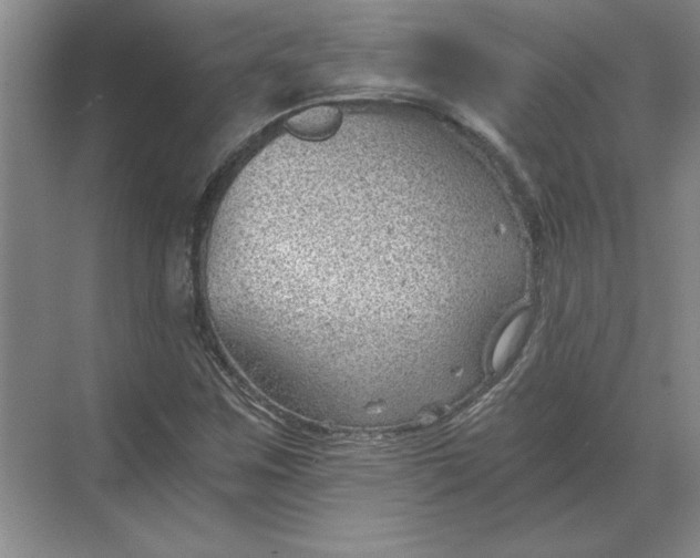 X0000068831259200605191850