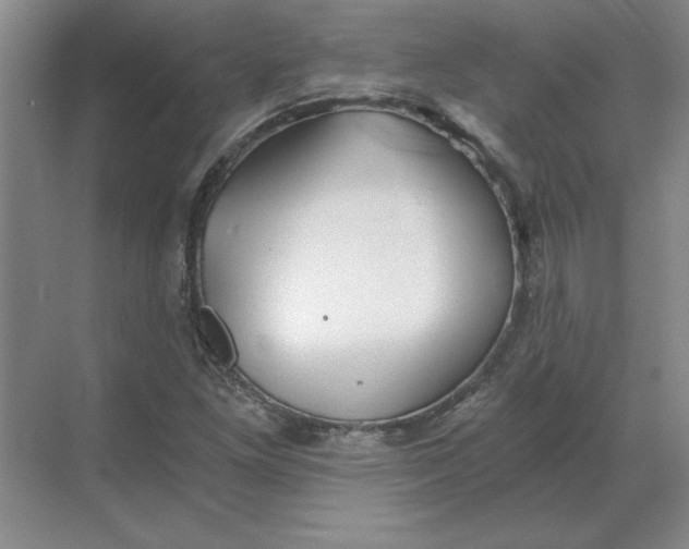 X0000068831261200605191850