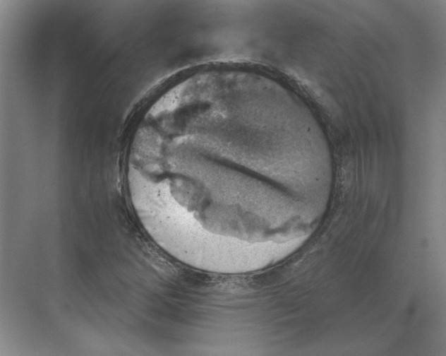 X0000068831262200605191850