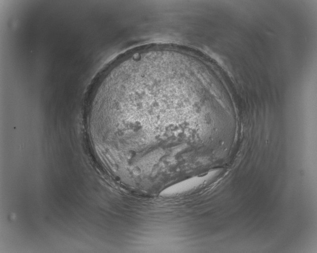 X0000068831263200605191850