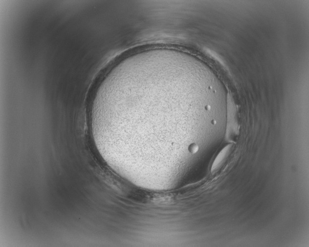 X0000068831267200605191850