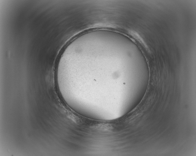 X0000068831268200605191850