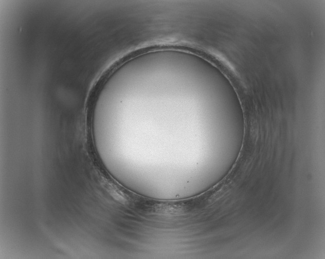 X0000068831270200605191849