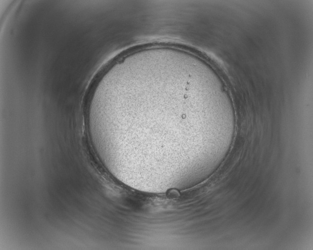 X0000068831271200605191849