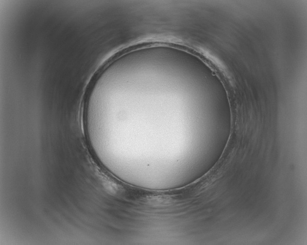 X0000068831272200605191849