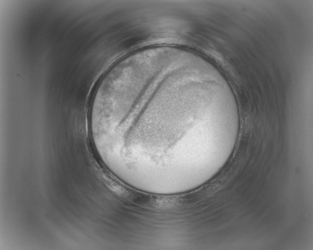 X0000068831274200605191849