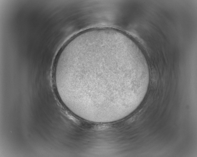 X0000068831278200605191849