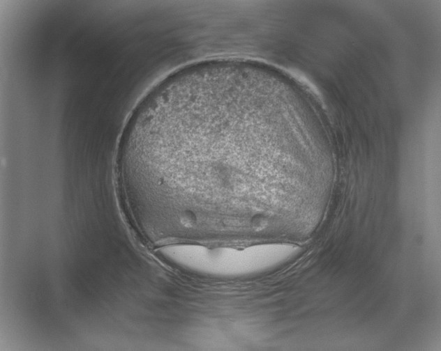 X0000068831279200605191849