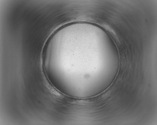 X0000068831280200605191849