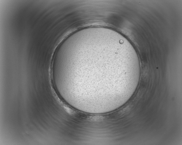 X0000068831282200605191849