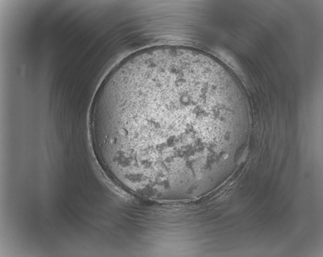 X0000068831283200605191849