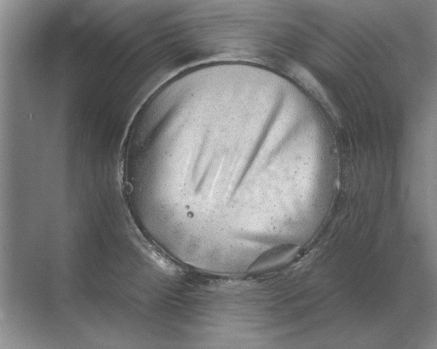 X0000068831284200605191849