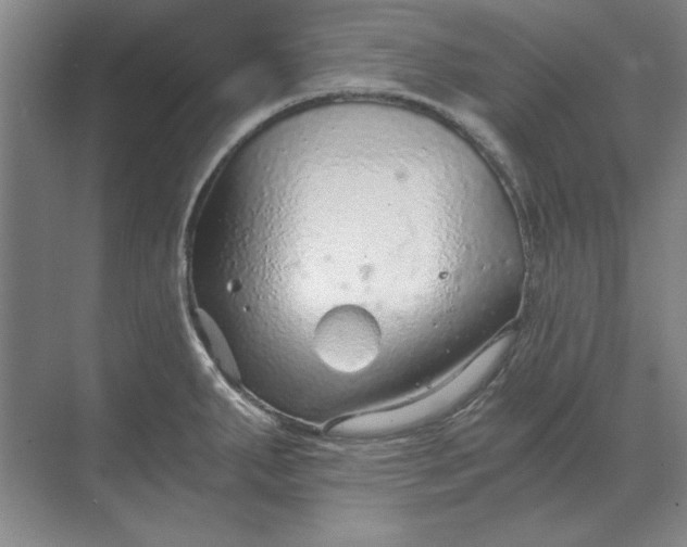 X0000068831287200605191849