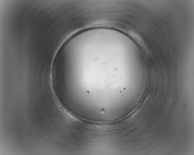 X0000068831288200605191849