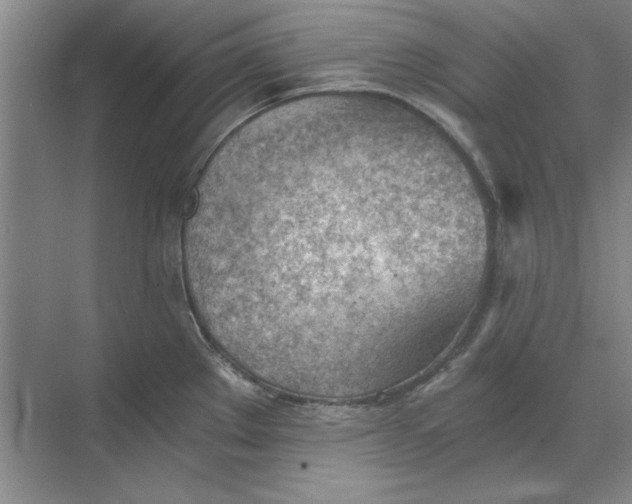 X0000068831289200605191849